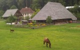 Farm house Bern